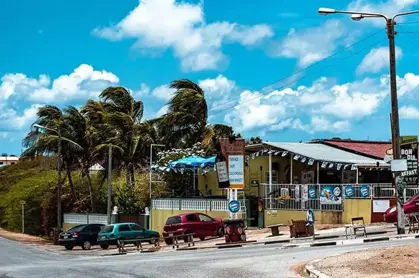 toko-williwood-kunuku